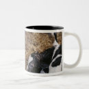 Search for square head mugs Animal body part