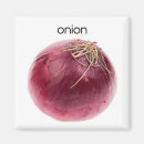 Search for onions magnets Vegetable