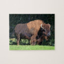 Search for buffalo bison puzzles Wyoming