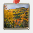 Search for aspen christmas tree decorations Mountains
