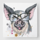 Search for pig clocks Watercolor