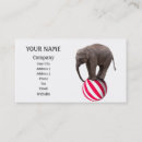 Search for circus business cards Animal