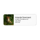 Search for pup labels Wildlife
