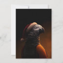 Search for cockatoo christmas cards Cockatiel