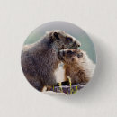 Search for marmot badges Animals