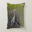 Search for marsh cushions Bird