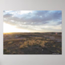 Search for petrified posters Arizona