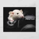 Search for cheeses postcards Mice