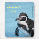 Search for penguin electronics Bird