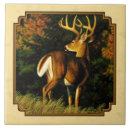 Search for deer antlers tiles Wildlife