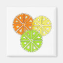 Search for fruity magnets Fun