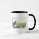 Search for observe mugs School