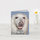 Search for smiling puppy cards White