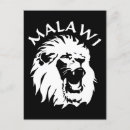 Search for african postcards Lion