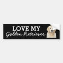 Search for golden retriever bumper stickers Pets