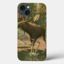 Search for wild life electronics Animal