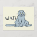 Search for whats postcards Meme