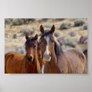 Search for foal posters Wild