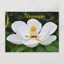 Search for magnolia postcards Petals