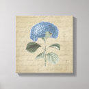 Search for vintage floral canvas prints Plant
