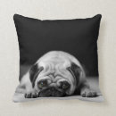 Search for pug cushions pets