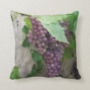 Search for grapevine cushions Winery