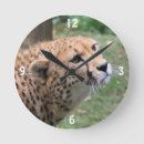 Search for eye spots posters Cheetah