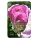 Search for budding magnets Rose