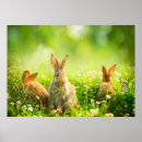 Search for beautiful easter posters Bunny