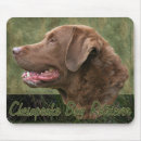 Search for chesapeake bay mousepads Chessie