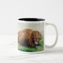 Search for sioux mugs School
