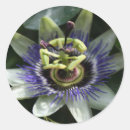 Search for passion stickers Floral