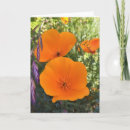 Search for california cards Poppy