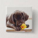 Search for toys badges Cute