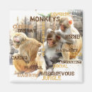 Search for cute monkey magnets Monkeys