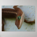Search for curious art Lizard