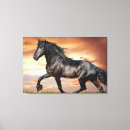 Search for black horse canvas prints Horses