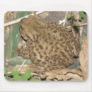Search for toad mousepads Nature