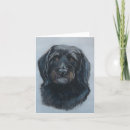 Search for golden doodle puppies cards Poodle