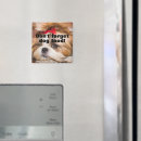 Search for shihtzu magnets Animal