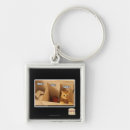 Search for laundry key rings I can has cheezburger