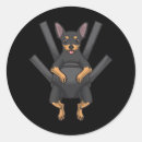 Search for carrier stickers Funny