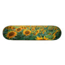 Search for sunflower skateboards Sky