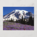 Search for climbing postcards Summit