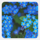 Search for forget me not stickers Floral