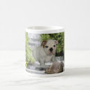Search for bully love mugs Puppy