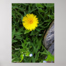 Search for blue dandelion posters Green