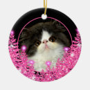 Search for evergreen christmas tree decorations Elegant