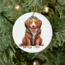 Search for duck christmas tree decorations Winter