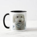 Search for close up mugs Indoors